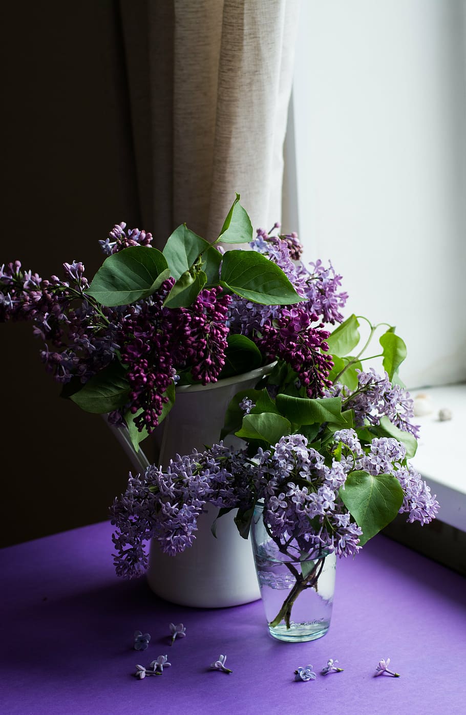 purple, flowers, glass vases, flower, bloom, blossom, green, leaf, nature, vase