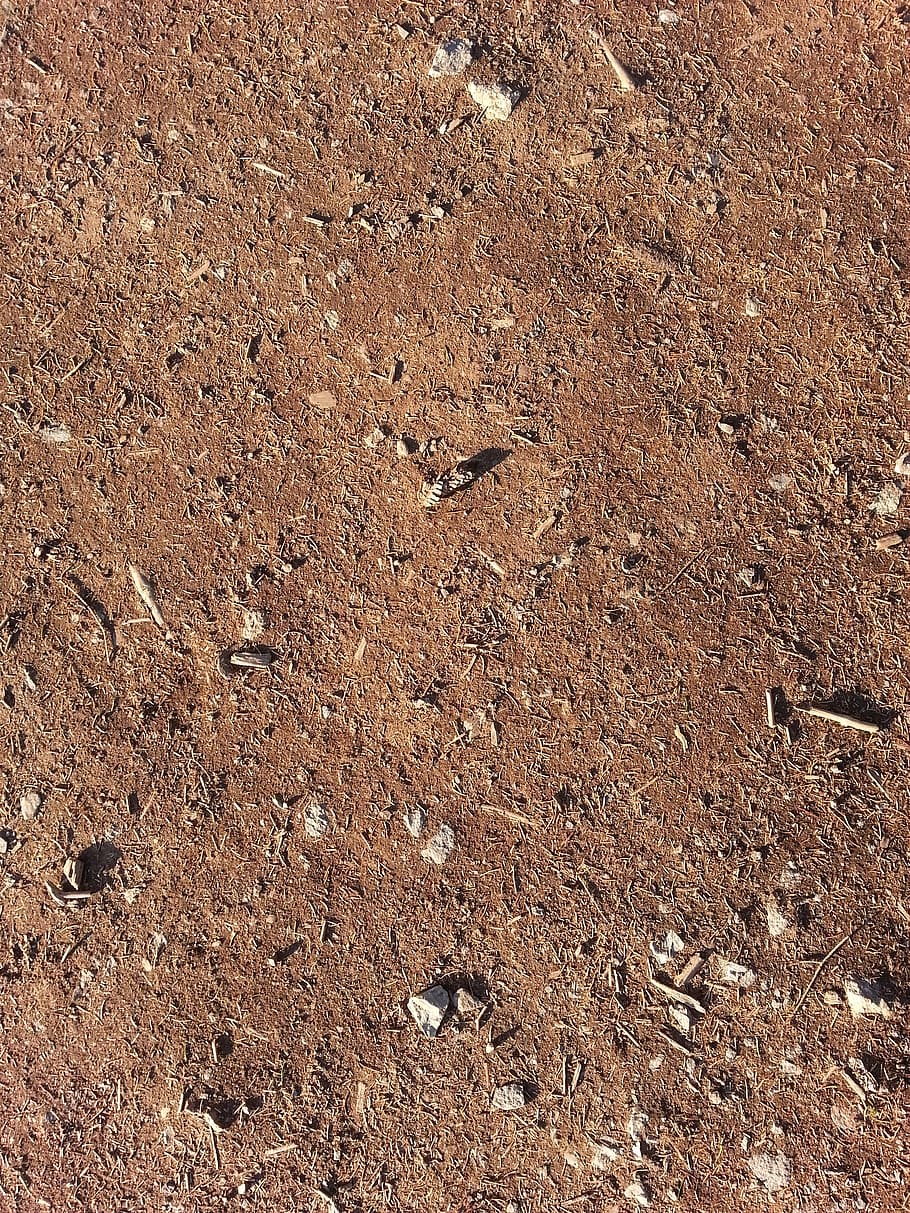 forest floor, background, stones, underground, brown, texture, ground, nature, structure, full frame