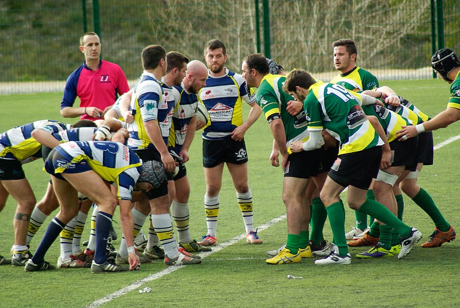 rugby, match, ball, players, lawn, sport, competitive Sport, competition, teamwork, sports Team