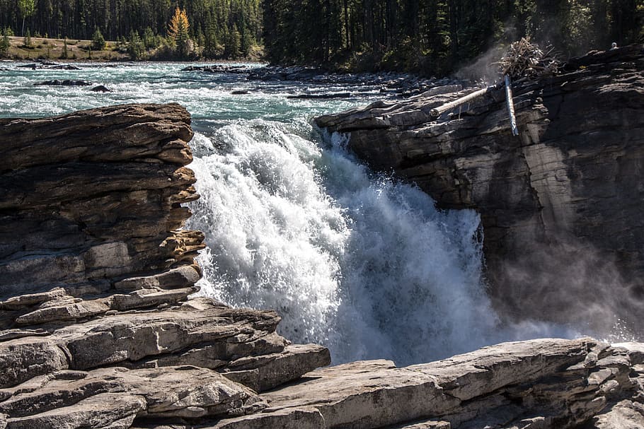 Athabasca Falls, Waterfall, Canadá, athabasca, jaspe, parque, agua, nacional, naturaleza, río