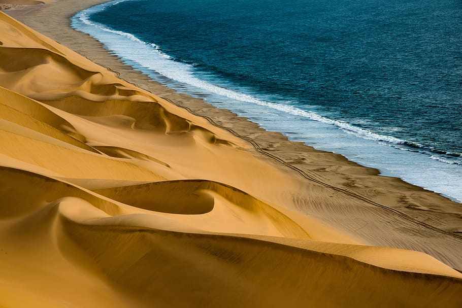 dunes, sea, coast, namibia, africa, water, sand, dessert, land, beach