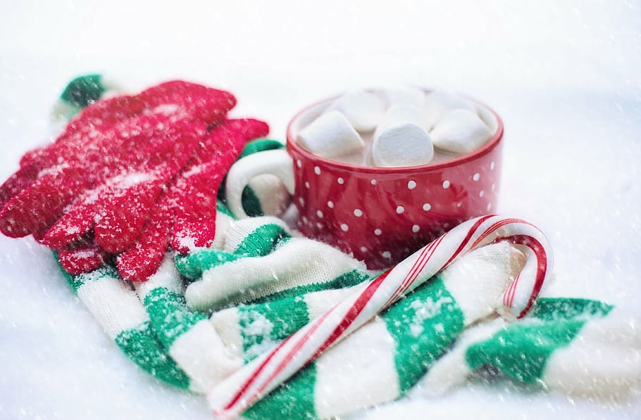 marshmallow putih, cokelat panas, salju, musim dingin, cokelat, panas, cangkir, minuman, marshmallow, natal