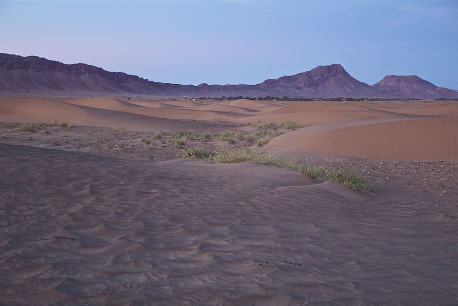 morocco, desert, nature, landscape, sand, dunes, sand dune, sahara, dry, africa