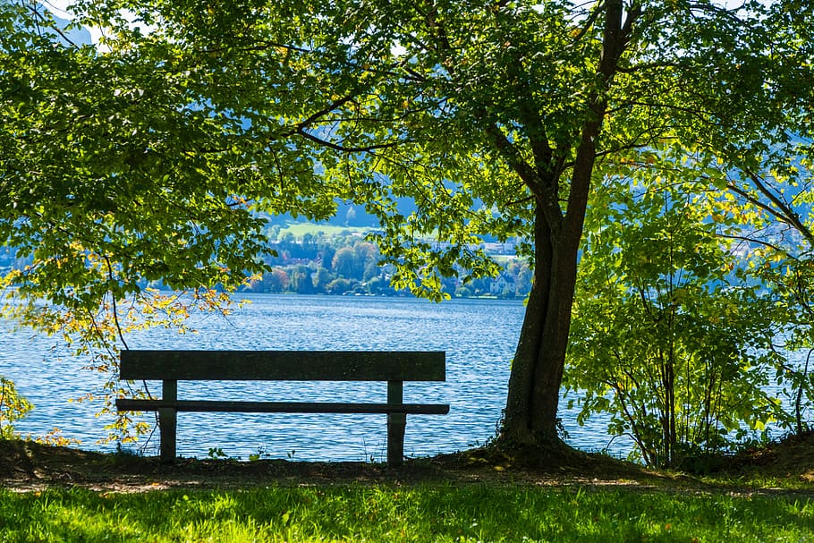 bank, wood, nature, landscape, bench, lake, water, trees, leaves, seat