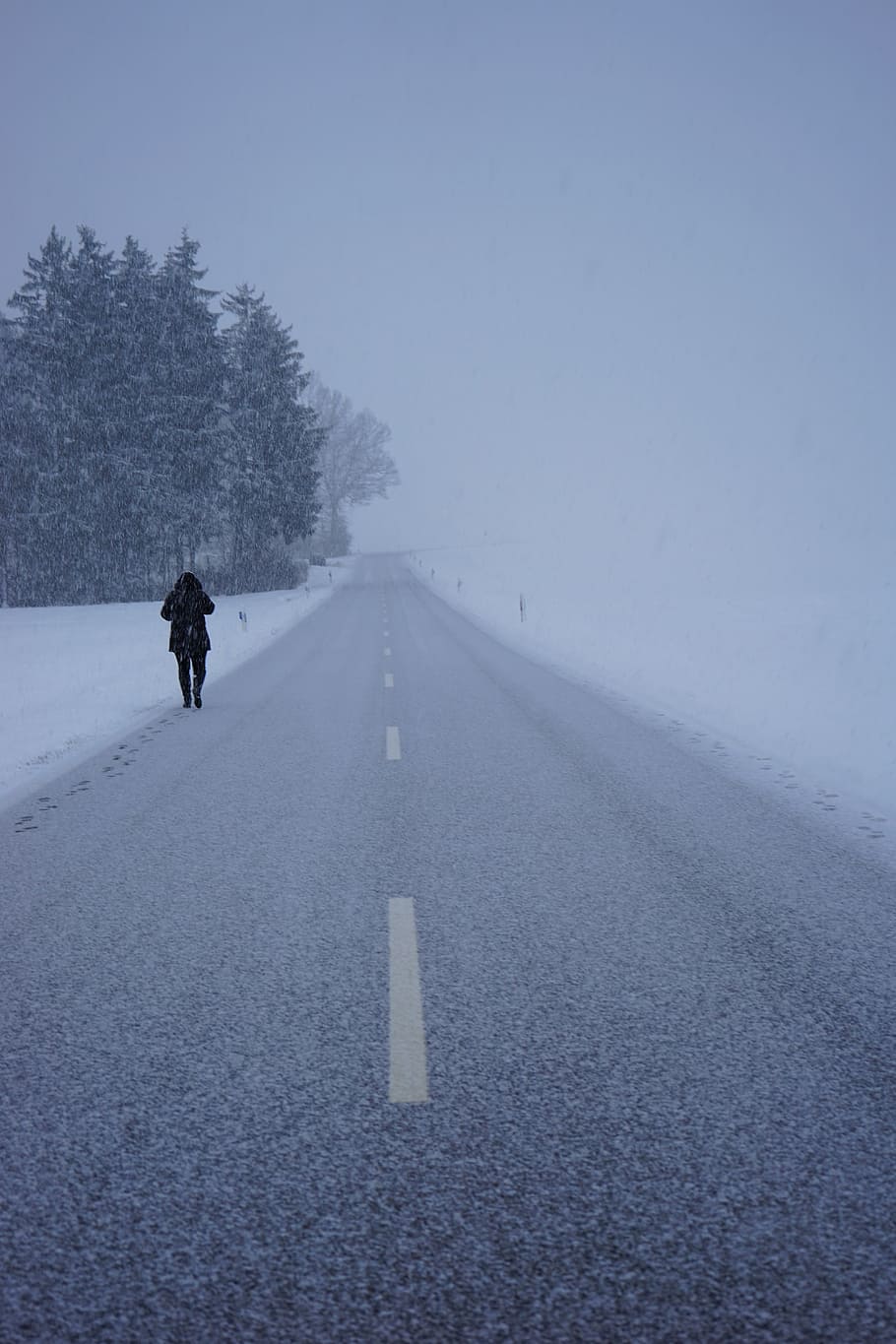 person, walking, gray, road, snow, blizzard, way home, alone, leave, cold