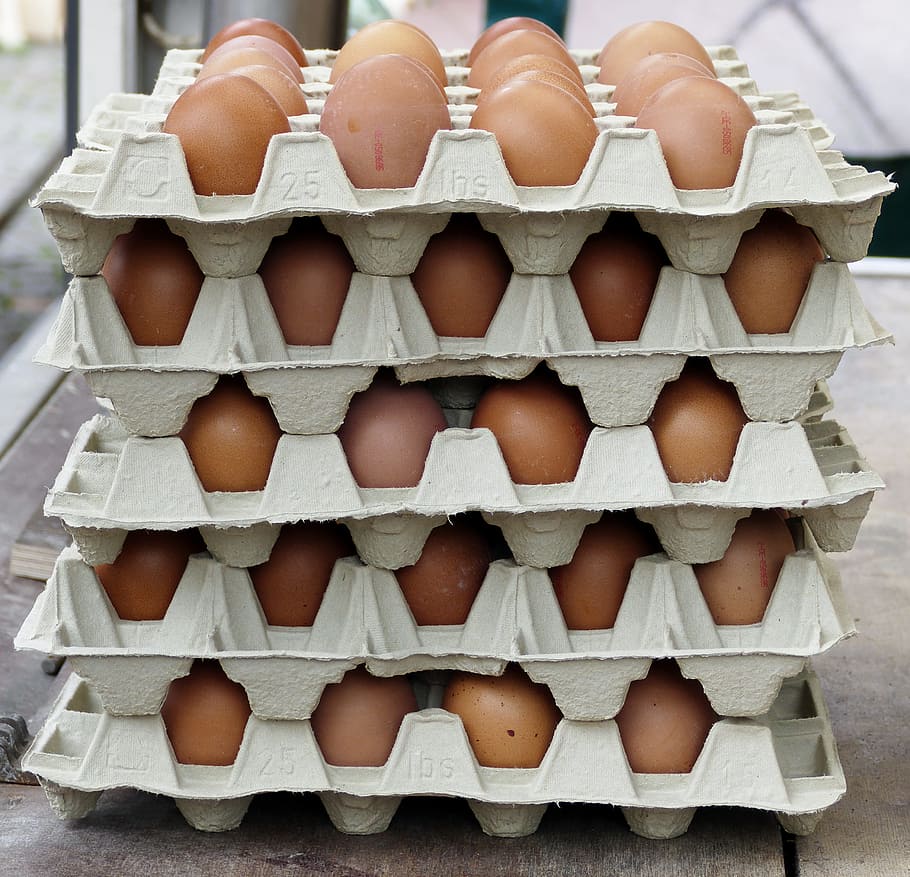 egg, chicken eggs, egg carton, lots of eggs, egg packaging, brown eggs, natural product, market, market stall, producer
