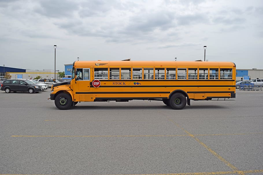 yellow, bus, parked, parking area, side, long, school, transportation, transport, vehicle