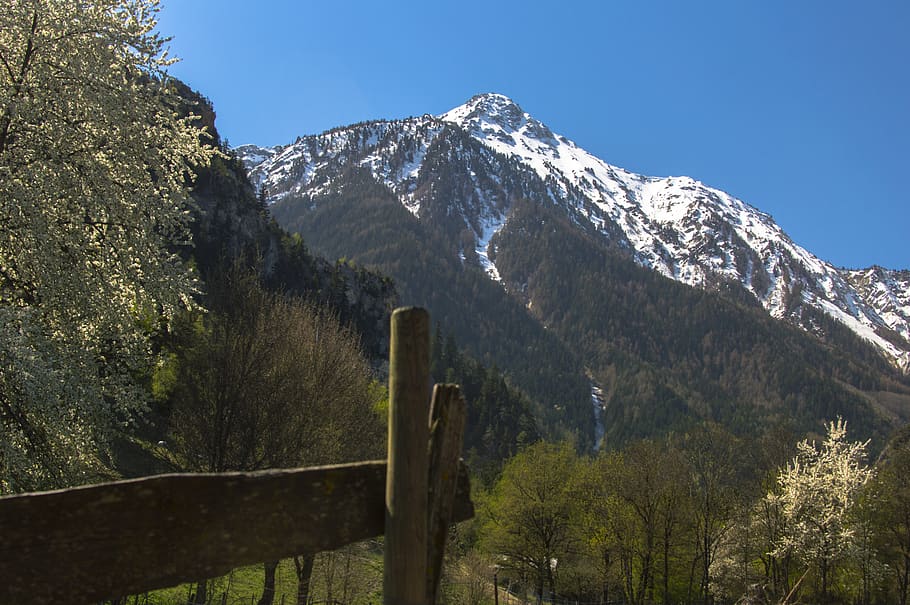 naturaleza, montaña, árbol, madera, viajar, Illhorn, Suiza, alpino, primavera, Alpes suizos