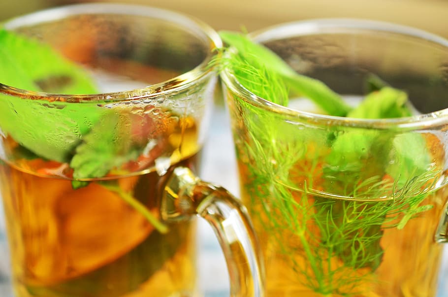 clear, glass teacups, herbal tea, herbs, tee, mint, aroma, sage, fennel, healthy