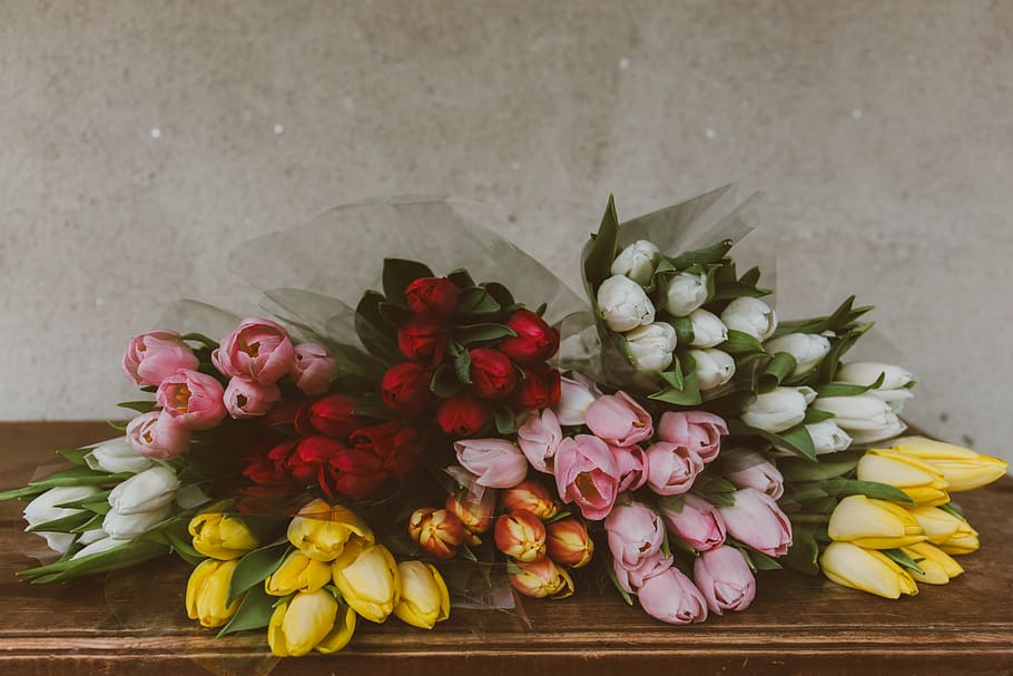 buquê de flores de tulipa de cores sortidas, marrom, de madeira, superfície, sortidas, cores, flores, mesa, perto, parede