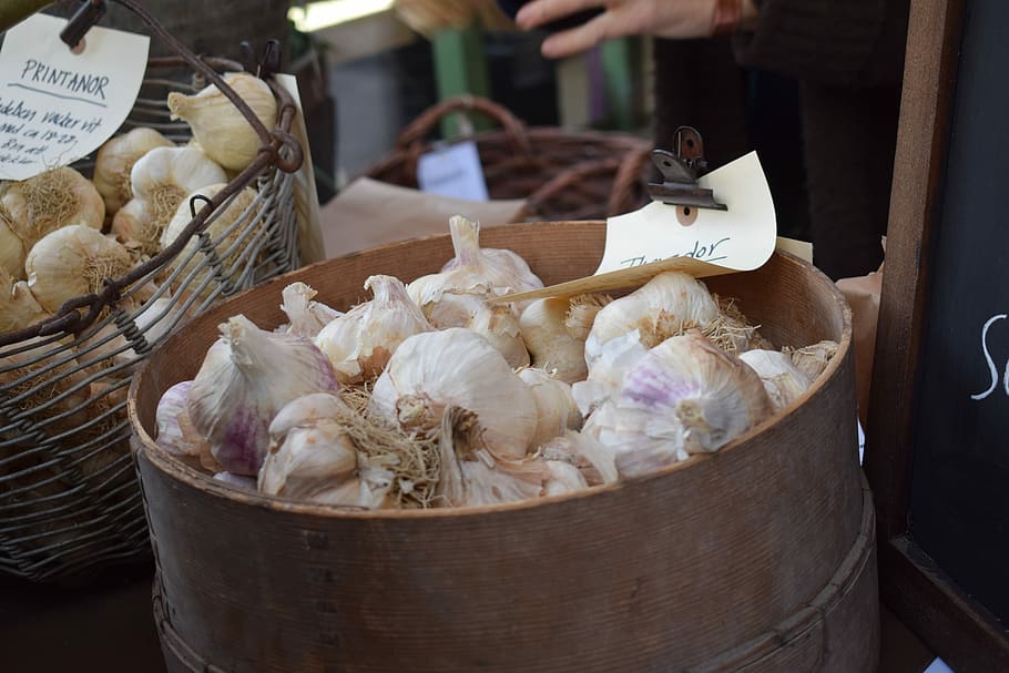 Garlic, Cultivation, sättlök, autumn, self catering, garden, greenhouse, grow, onion, markad