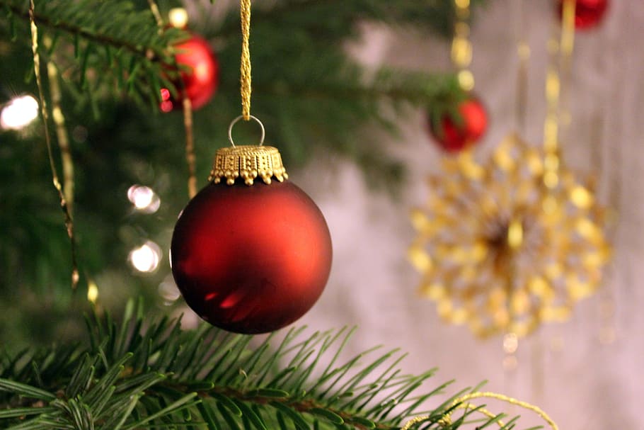 클로즈업 사진, 빨간, 크리스마스 bauble, 교수형, 녹색, 크리스마스 트리, 크리스마스, 홀리, 장식, weihnachtsbaumschmuck