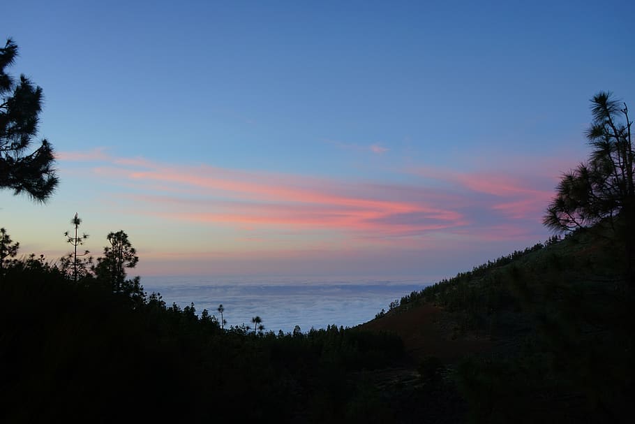 sunset, pastellfarben, sky, afterglow, clouds, selva marine, el portillo, tenerife, scenics - nature, plant