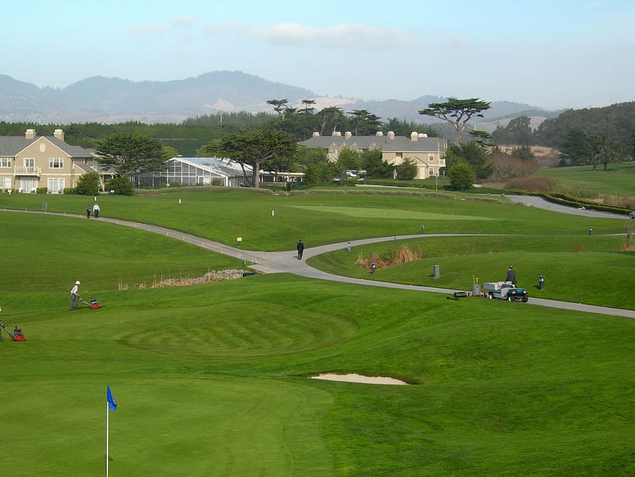 golf, half moon bay ca, scenic, plant, green color, grass, tree, activity, scenics - nature, land