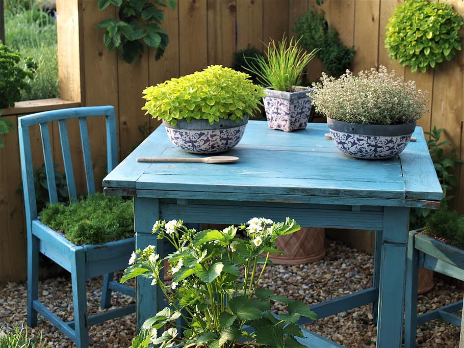 table, plants, chair, garden, plant, potted plant, growth, nature, front or back yard, green color