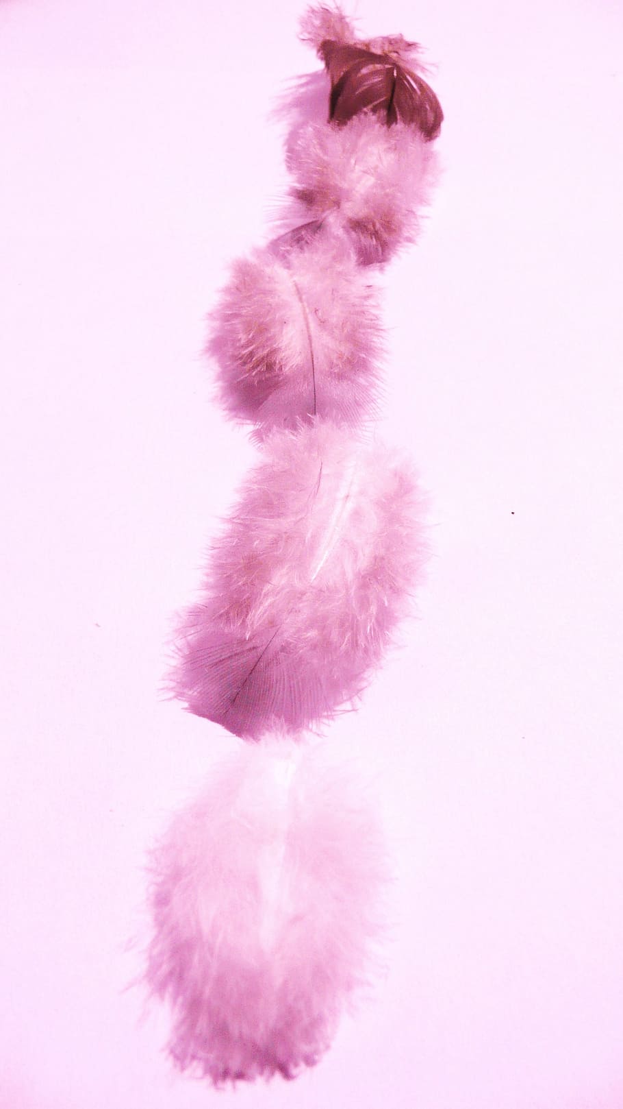 feathers, fluffy, soft, delicate, fluff, softness, purple, lavender, stola, clothing
