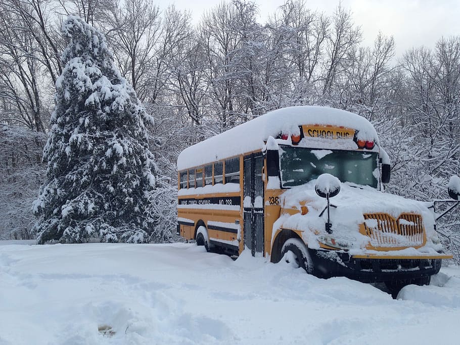 黄色, スクールバス, 塗りつぶされた, 雪, バス, 冬, 学校, 交通, 風景, 天気