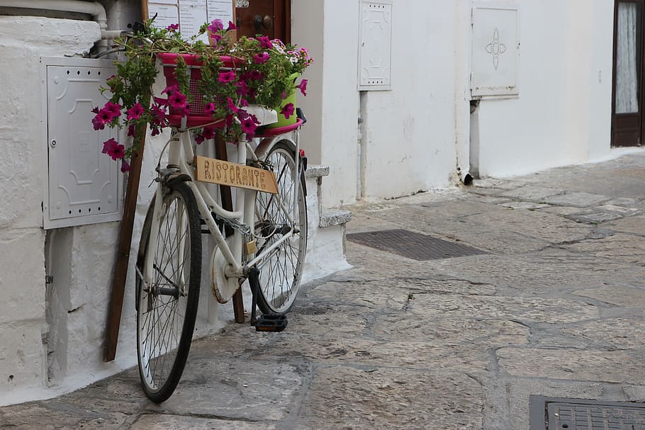 sepeda, restoran, bunga, perkebunan, musim panas, puglia, ostuni, selatan, Italia, pusat sejarah