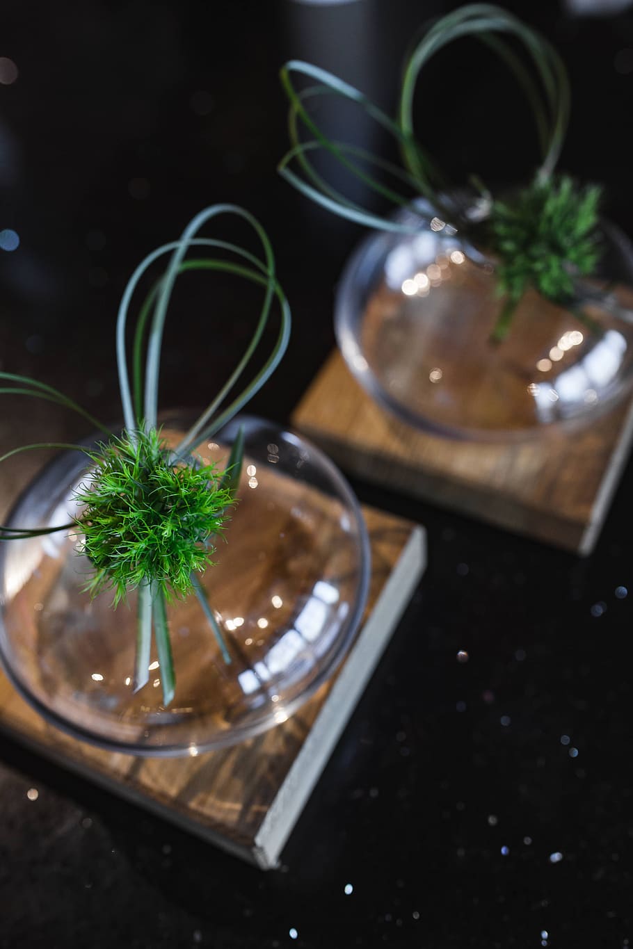 vidro, planta, decoração, ornamental, bugiganga, Little, grass, bundle, ribbon, jar