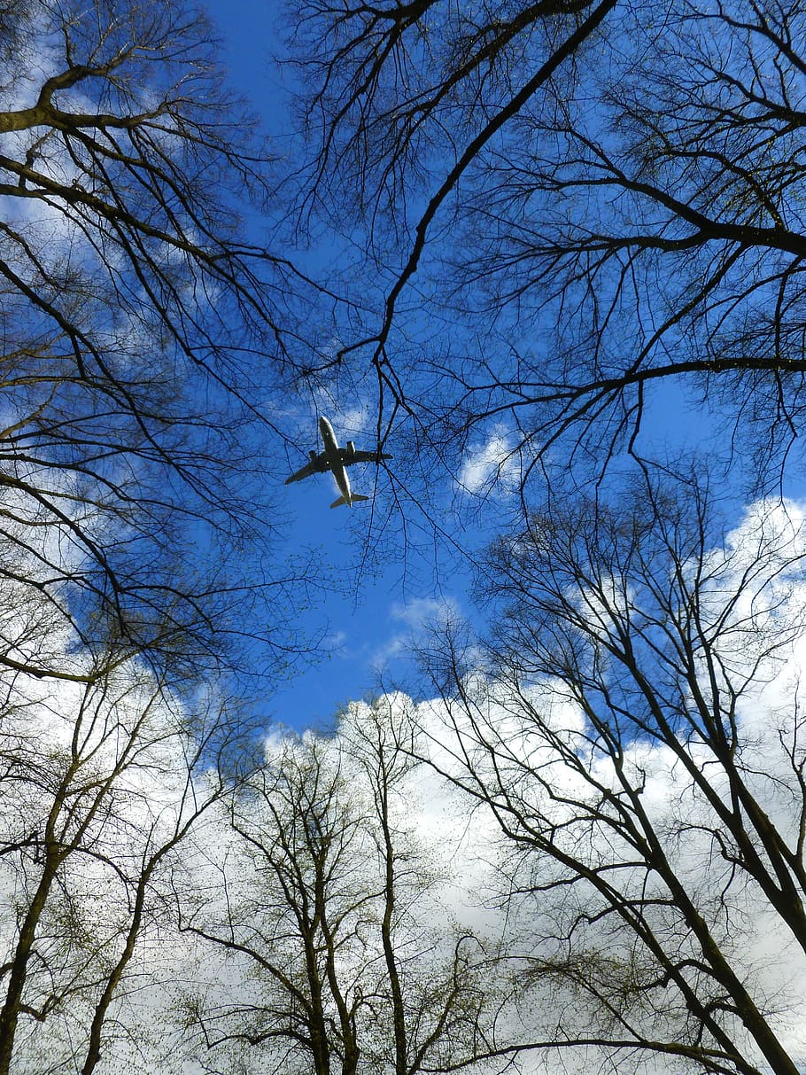 Aircraft, Clouds, Trees, Wing, sky, blue, aesthetic, sky blue, top, fly