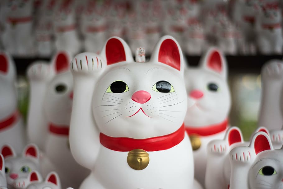 white, maneki-neko figure lot, cat, figurine, japan, display, collections, animal representation, representation, art and craft