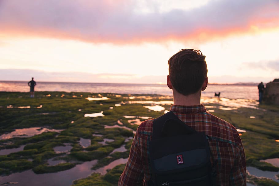 man, looking, sunset, guy, ocean, sea, people, backpack, knapsack, landscape