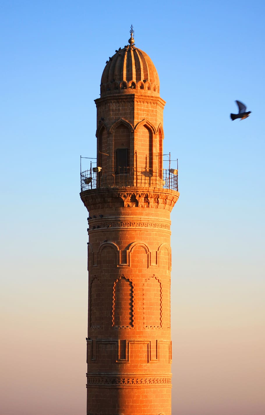 Minaret, Cami, Bird, Pigeon, Mardin, turkey, architecture, middle east, religion, historical city