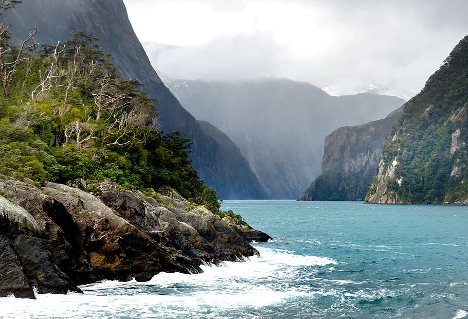 Milford Sound, Selandia Baru, pegunungan rumput di siang hari, air, gunung, keindahan di alam, scenics - alam, alam, hari, ketenangan