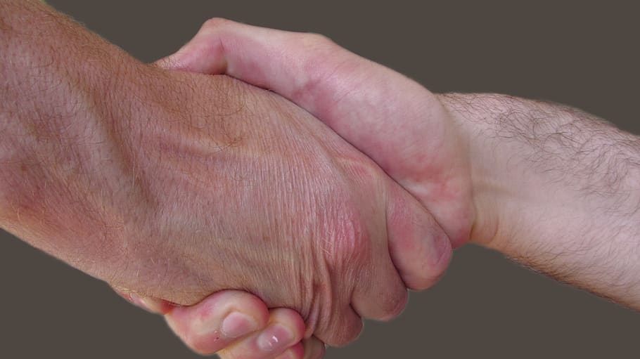 handshake, male, partnership, deal, business, welcome, cooperation, people, agreement, man