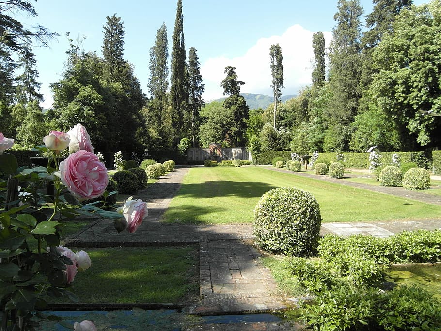 Villa Oliva, Lucca, Tuscany, Garden, landscape, panorama, tree, day, outdoors, nature