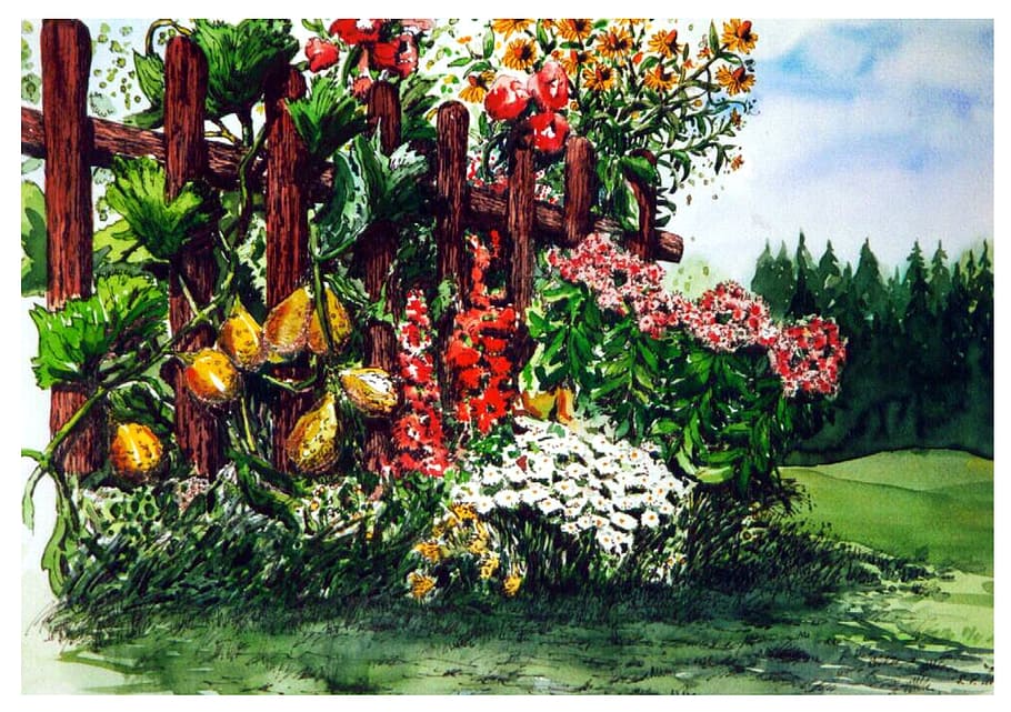 flowers, vegetable, fence painting, watercolour, painting, summer, garden, transfer print, auto post production filter, plant
