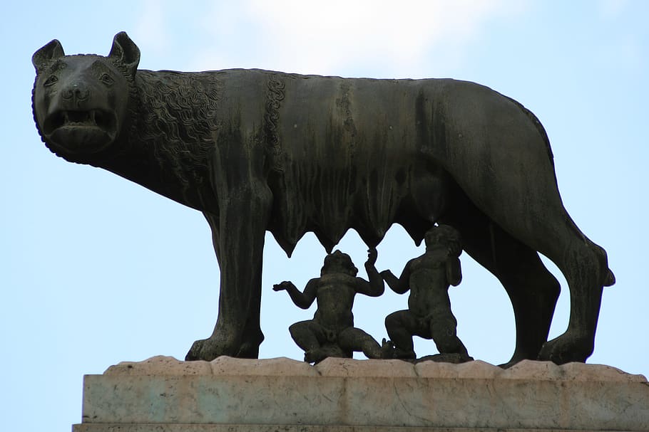 rome, landmark, capitoline she-wolf, romulus, remus, city founder, architecture, italy, antiquity, tourism