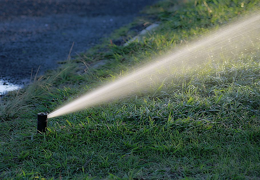 water hose, green, grass, water, watering, garden, summer, irrigation, nature, plant