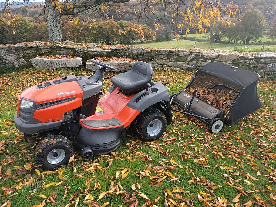 tractor, picks up leaves, lawn Mower, mowing, grass, outdoors, nature, machinery, equipment, gardening