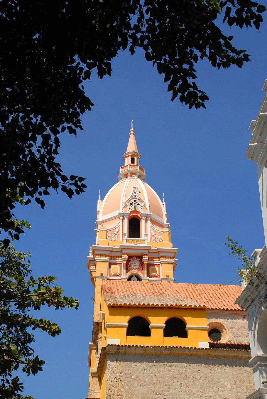 Cúpula, Cartagena, Colômbia, Igreja, fachada, religião, arquitetura, árvore, história, azul