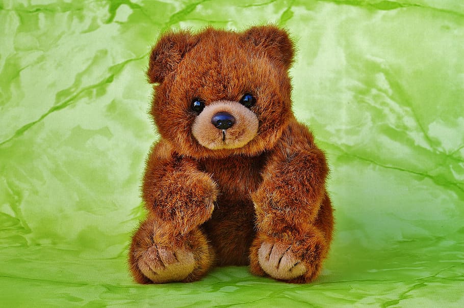 coklat, beruang, mewah, mainan, teddy, mainan lunak, boneka binatang, beruang coklat, anak-anak, hewan