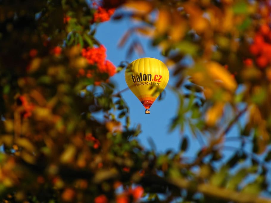 Balão, Colorido, Natureza, outono, folhas, cores, quente Balão de ar, voando, céu, ao ar livre