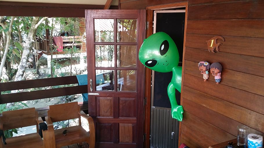 aliens, alien, alie, green, green male, wood - material, representation, indoors, green color, day