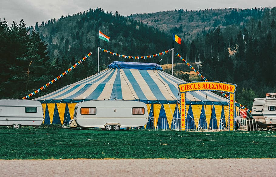 pintura de circo alexander, diversão, parque, passeio, aventura, circo, festival, verde, campo, grama