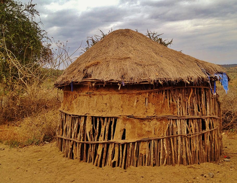 茶色のニパ小屋, 小屋, 住居, アフリカ, 素朴な, 旅行, 部族, 農村, ホーム, リモート
