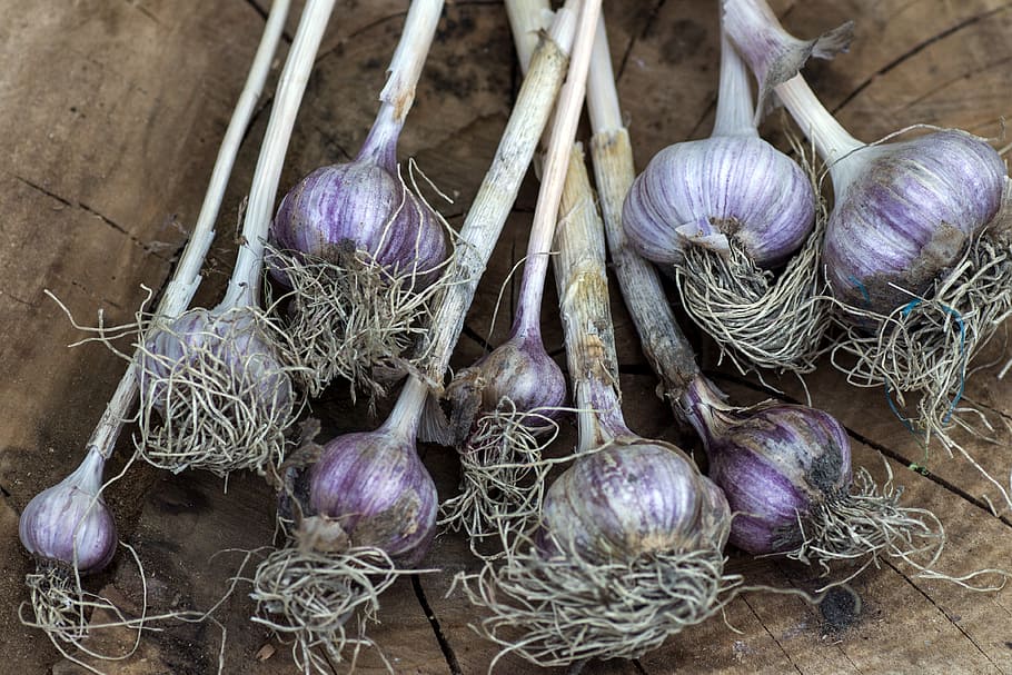 garlic, vegetables, tuber, food, vegetable, freshness, organic, onion, spice, wood - Material