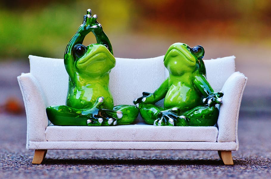 two, ceramic, frog figurines, white, couch model scale, frog, sofa, relaxation, rest, funny