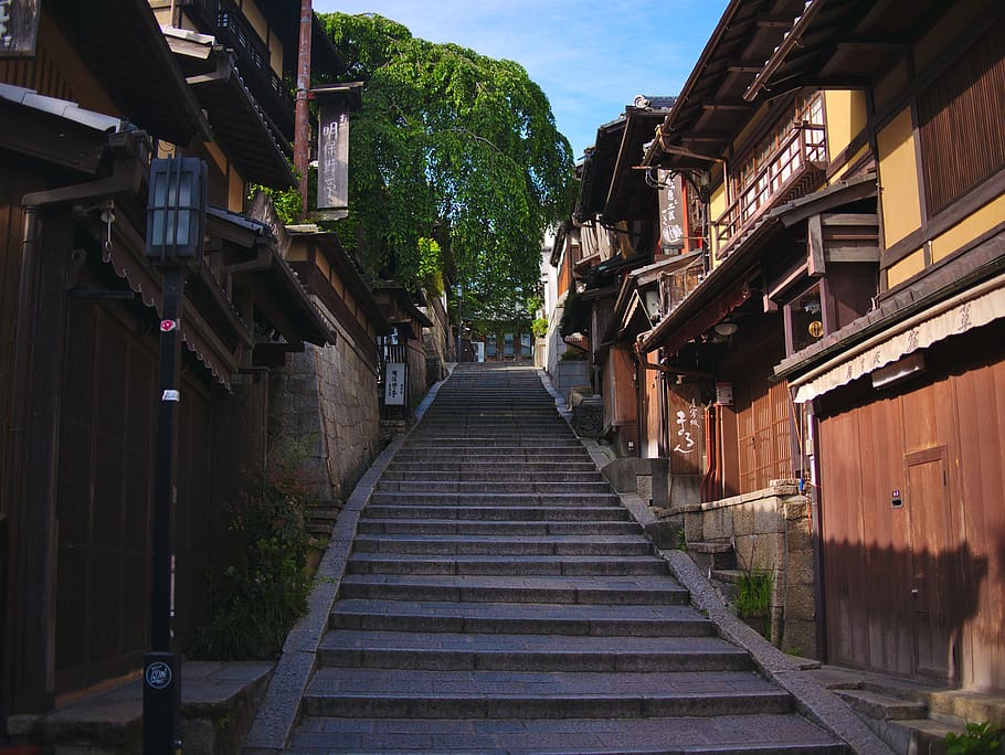 kyoto, japan, japanese, calm, trees, relaxation, balance, history, lane, street