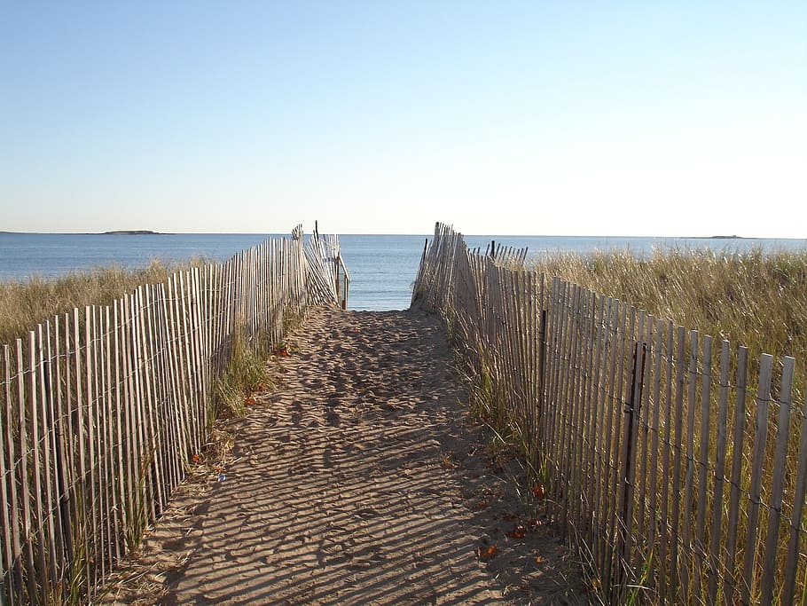 brown, pavement pathway, seashore, daytime, new england, path, fence, ocean, sea, beach