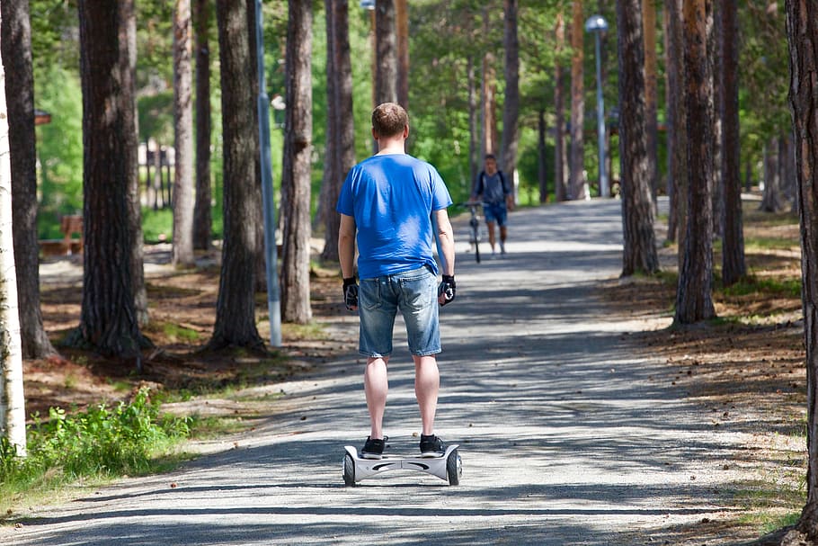 Segway, Wheels, Promenade, Nature, two wheels, transport, walking around on two wheels, rear view, forest, tree