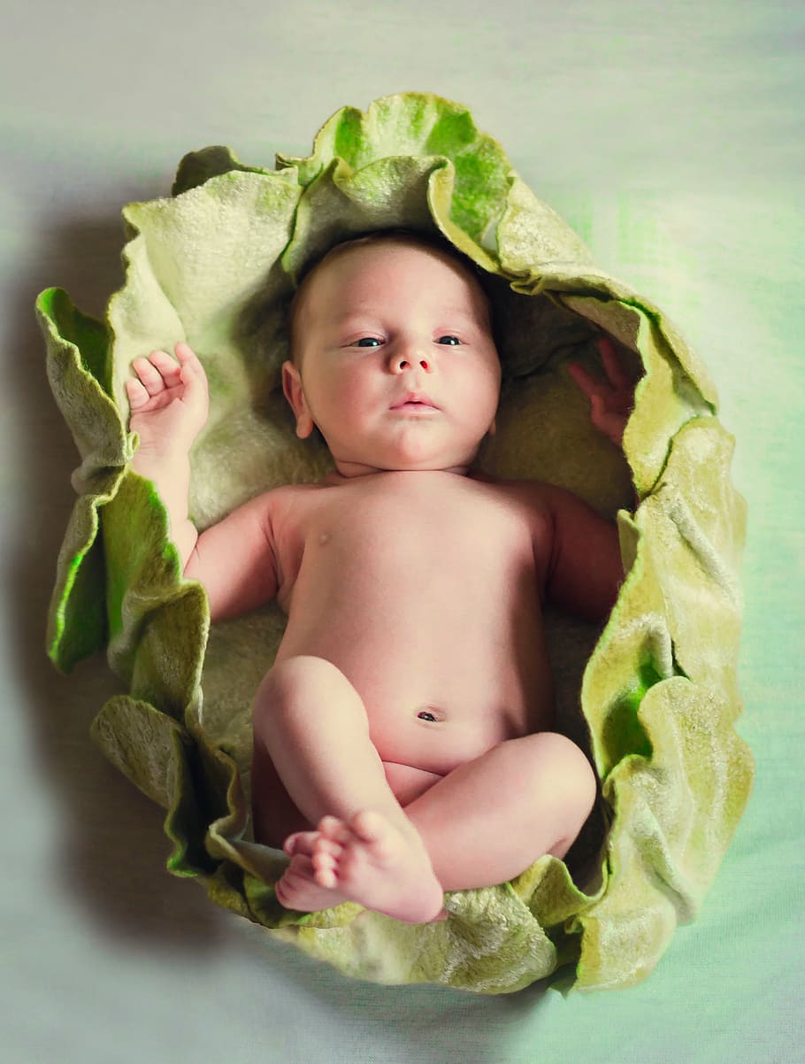 Bebé, verde, nido, recién nacido, niño, Newburn, niños, infante, niño pequeño, ver