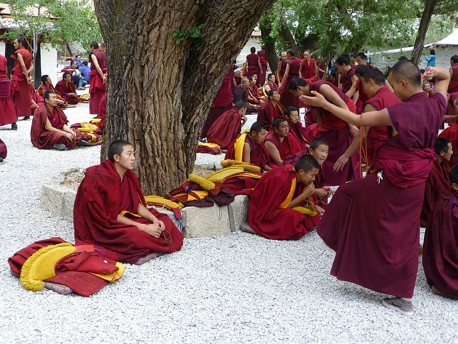 tibet, sera monastery, jhasa, gelugpa, debate session, sera, buddhism, buddhist, lama, galug