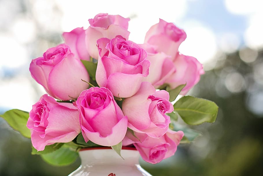 pink, rose, flower arrangement, pink roses, roses, flowers, romance, romantic, love, valentine
