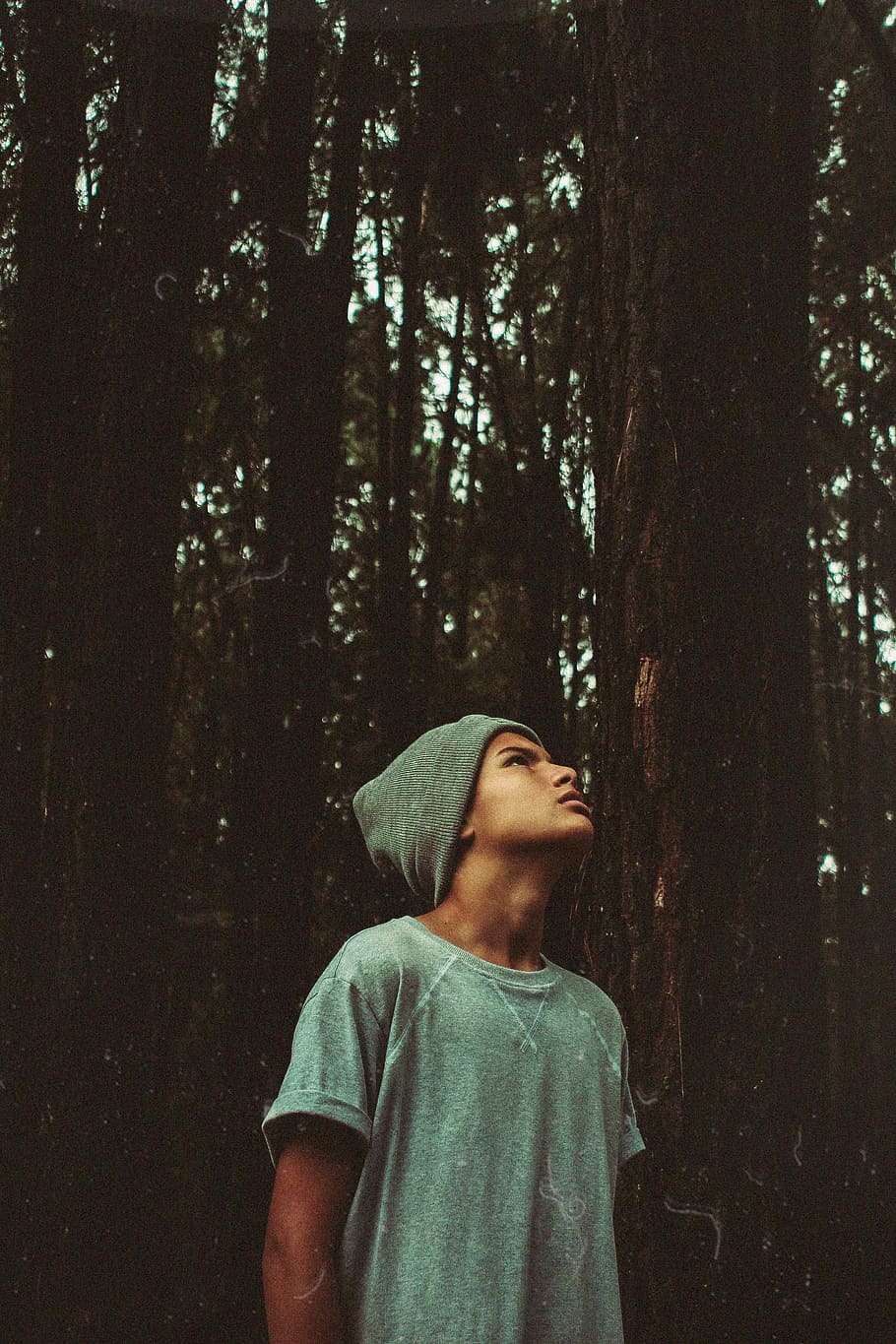 man, guy, beanie, trees, forest, nature, model, fashion, looking, tree