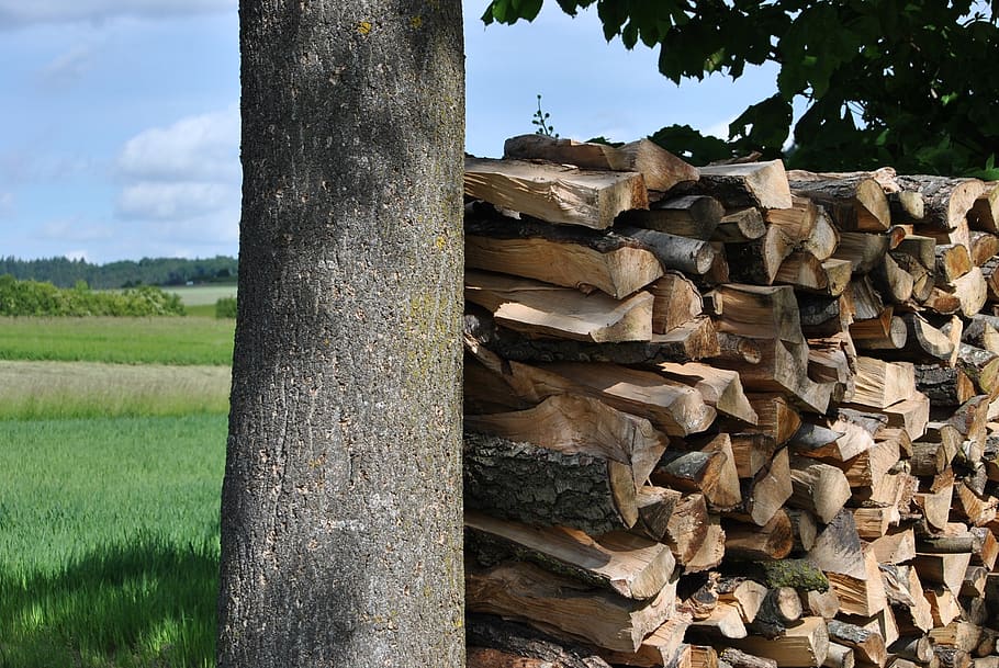 pile of wood, wood, storage, stack, lumber, sawn, firewood, combs thread cutting, nature, bavaria